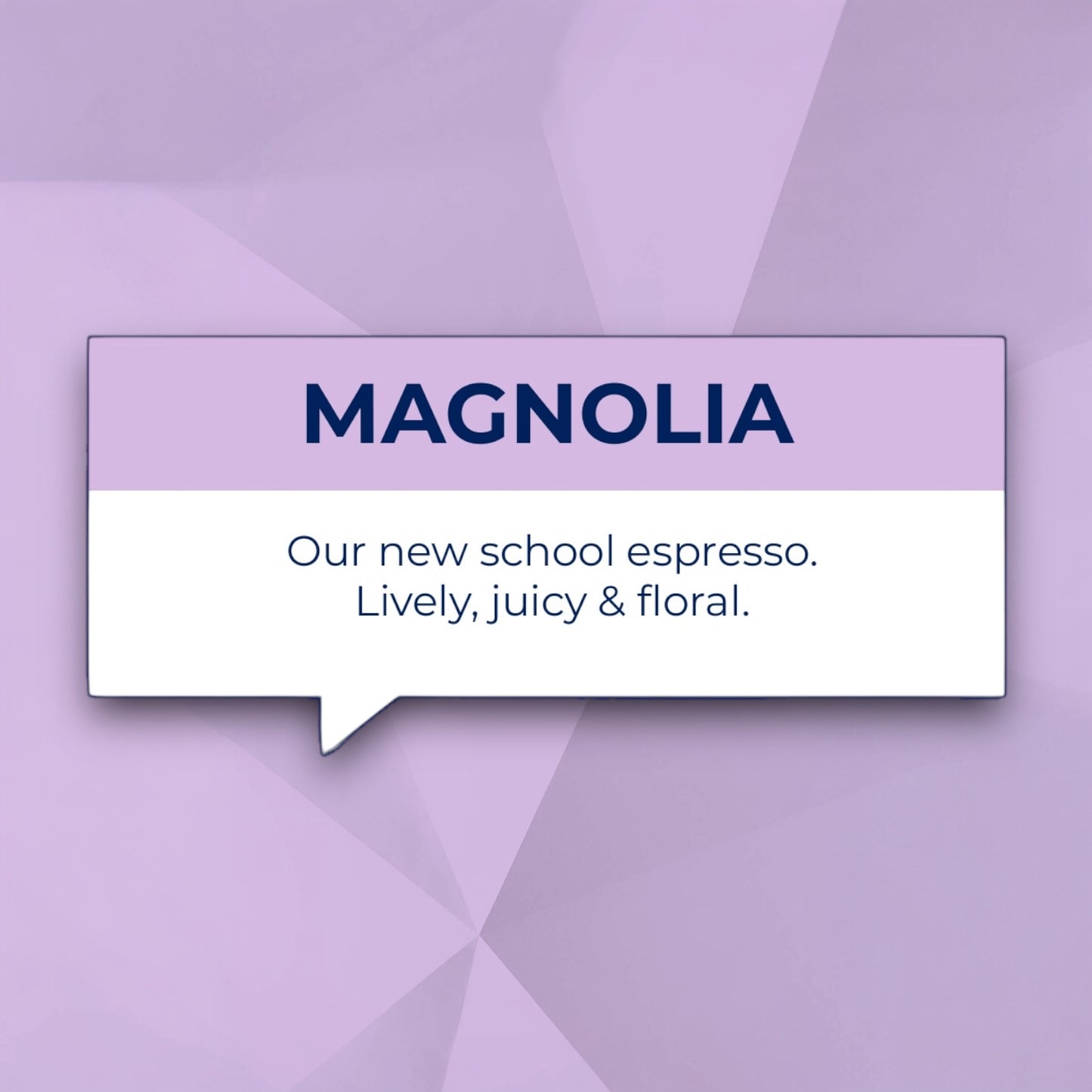 MAGNOLIA