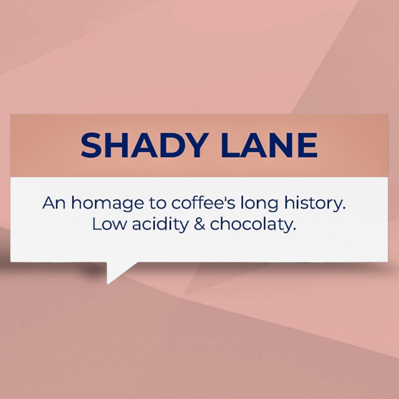 SHADY LANE