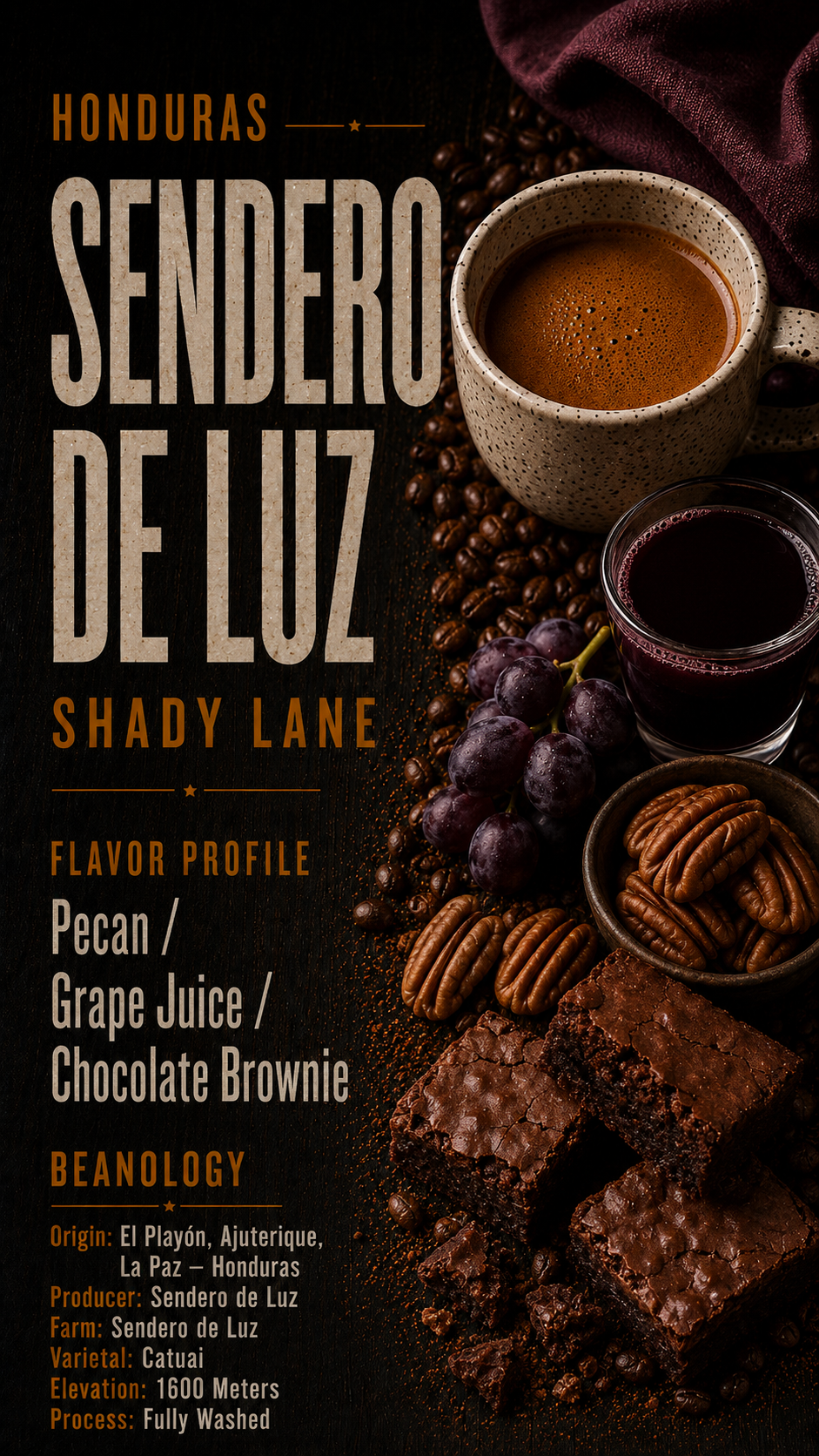 HONDURAS • SENDERO DE LUZ • SHADY LANE
