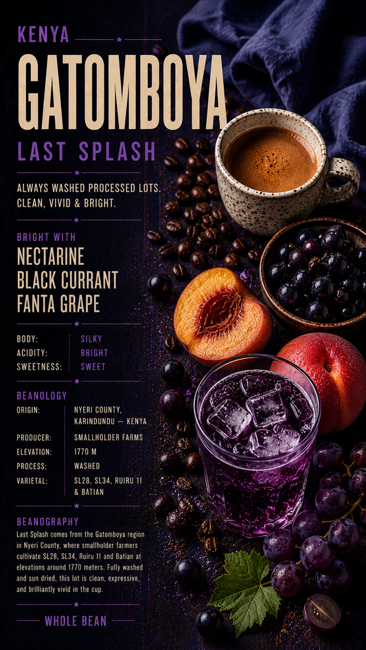 LAST SPLASH • KENYA • GATOMBOYA