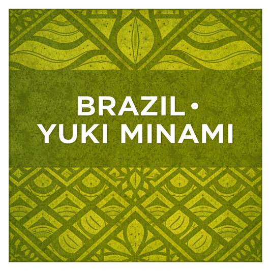 BRAZIL • YUKI MINAMI