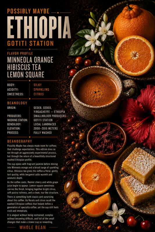 ETHIOPIA • GOTITI STATION