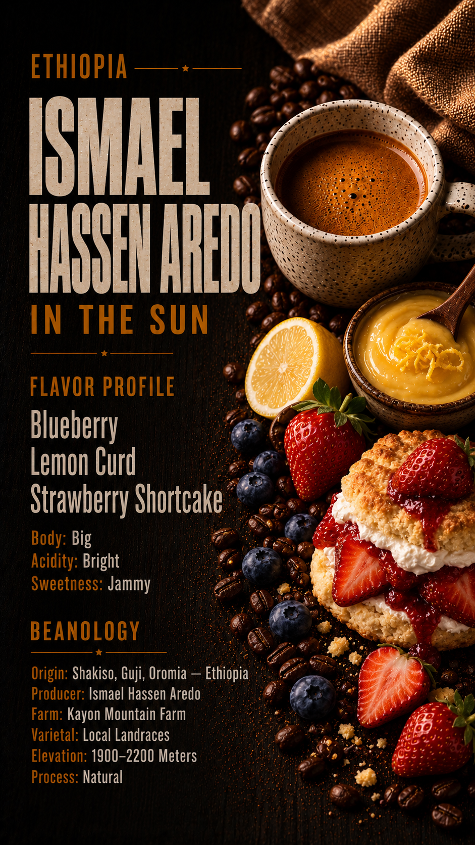 ETHIOPIA • ISMAEL HASSEN AREDO •

IN THE SUN