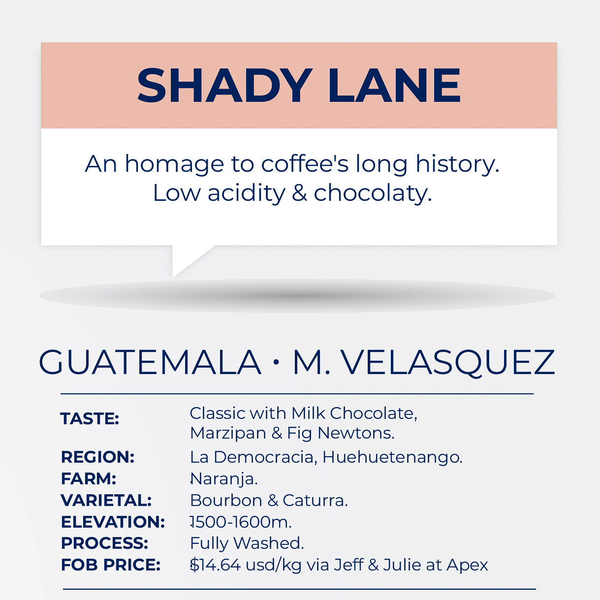 SHADY LANE