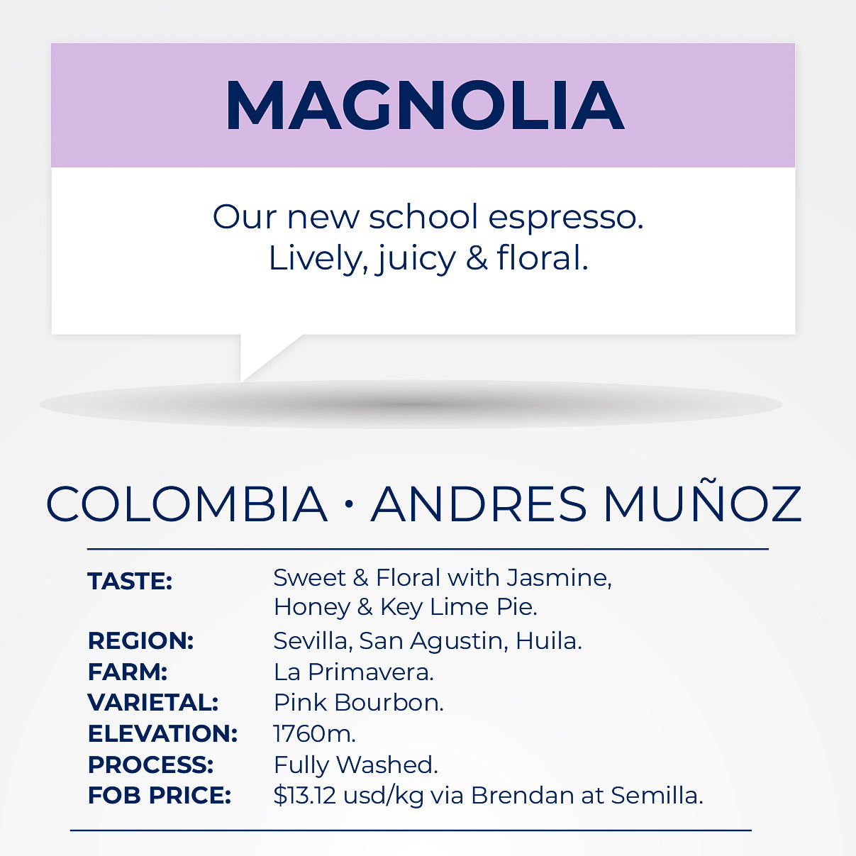 MAGNOLIA